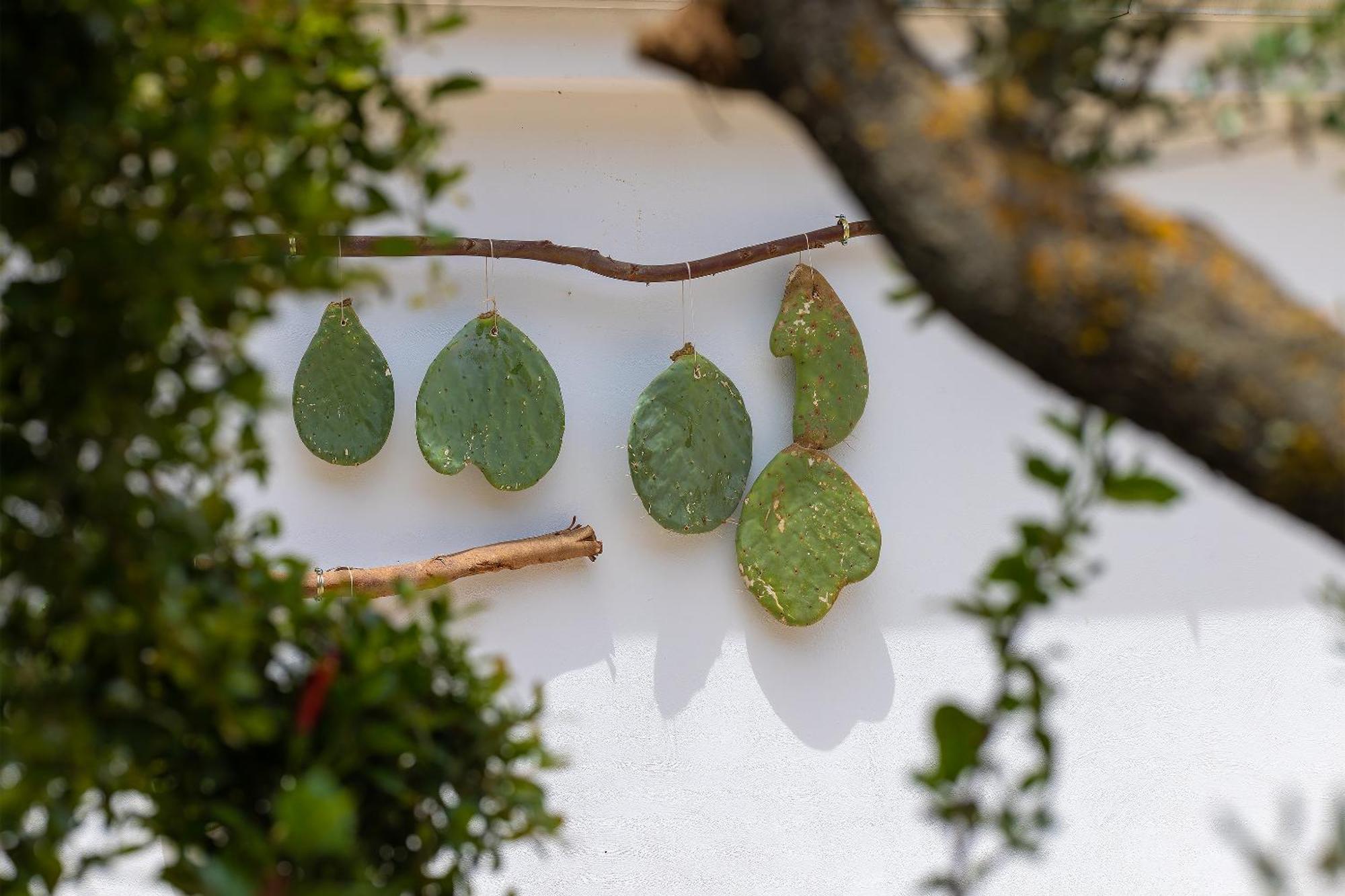 Hotel Masseria Fontanelle 우겐토 외부 사진